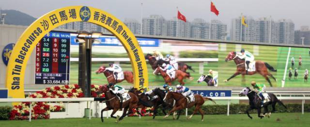 香港马会最新一句解特,香港马会最新一句解特研究与应用