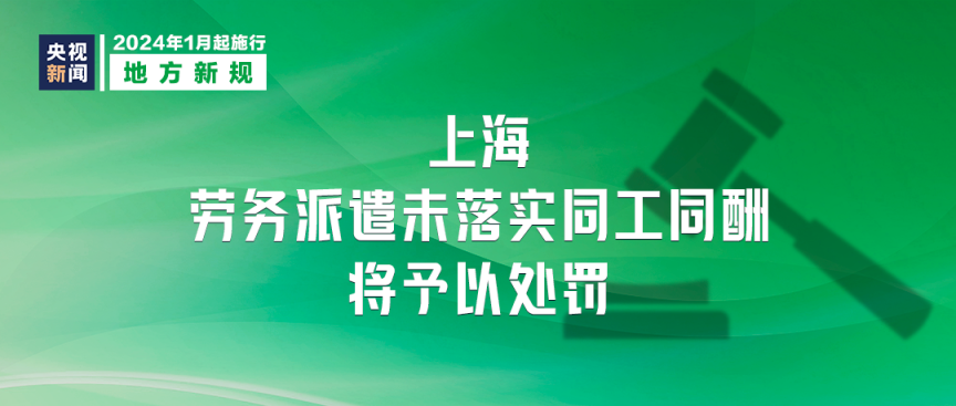 新澳2024正版免费资料,新澳2024正版免费资料，探索与揭秘