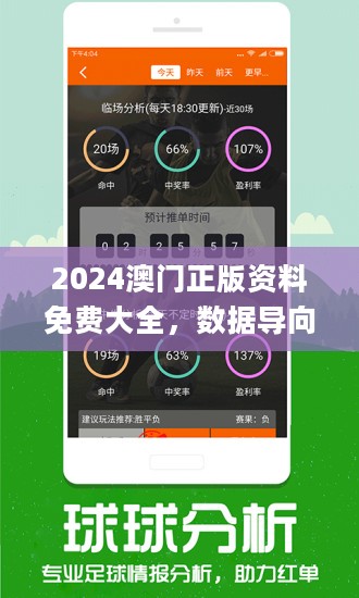 2024澳门正版资料免费最新版本测评,澳门正版资料免费最新版本测评报告，探索与解析（2024版）