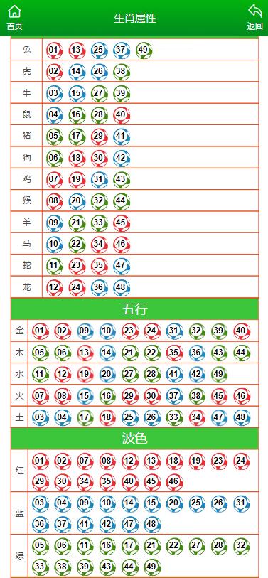 澳门今晚特马开什么号,澳门今晚特马号码预测与探讨