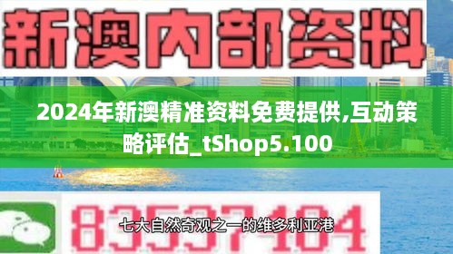 新澳2024年精准资料220期,新澳2024年精准资料220期详解与分析